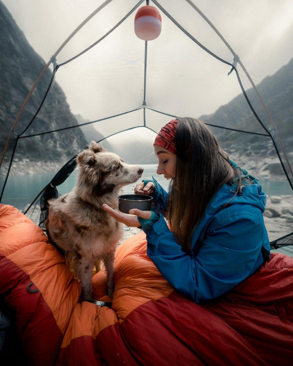 Humanimal 4