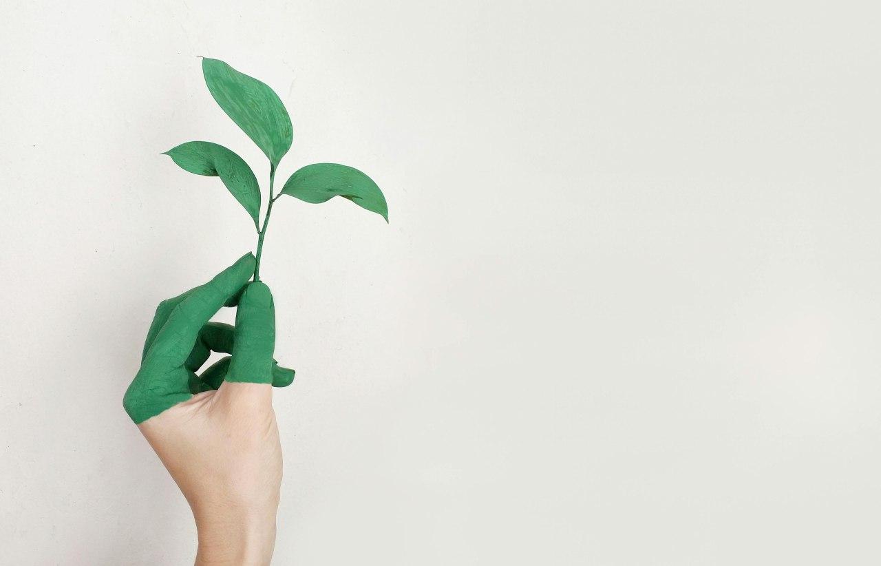 Ecologie 2